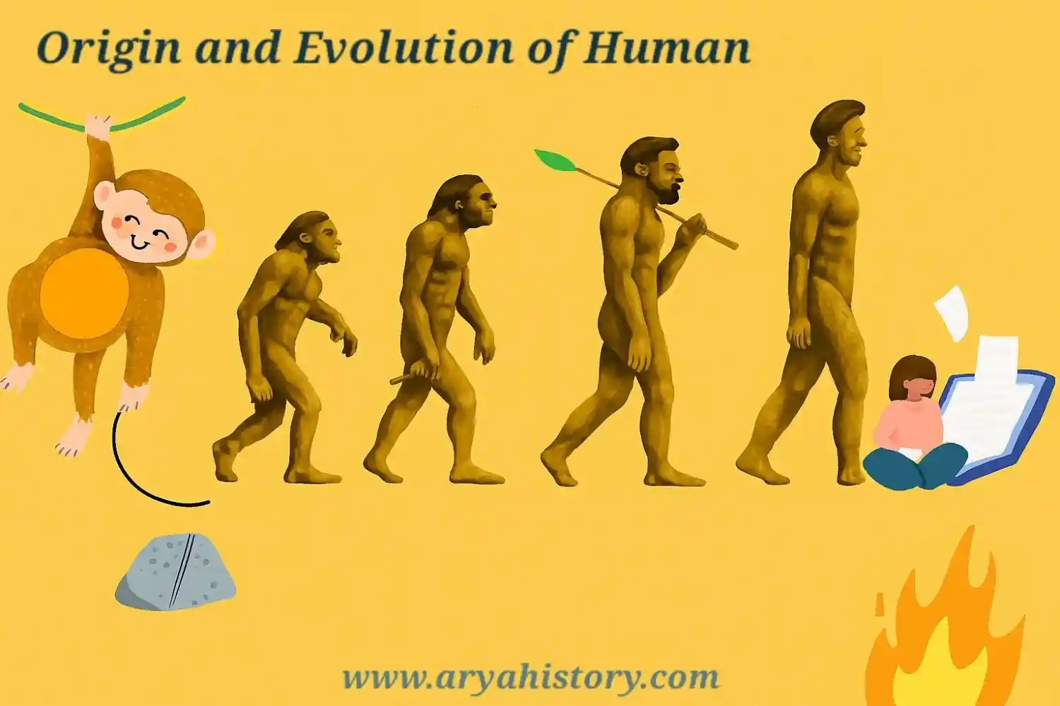 मानव का उद्भव और विकास का क्रम – प्राइमेट्स से होमो सेपियन्स तक